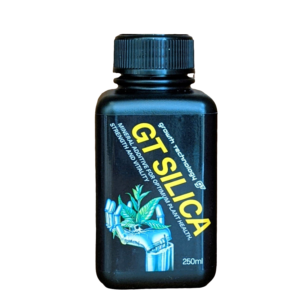 Growth Technology Silica